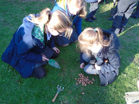 Cranbourne Primary School, Hoddesdon